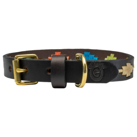 Rainbow polo dog collar | Argentinian Gaucho Collar | Brass