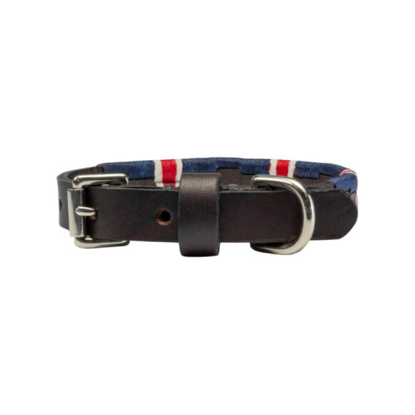 British Team polo dog collar | Argentinian Gaucho Collar | Miniature and Puppy | Nickel