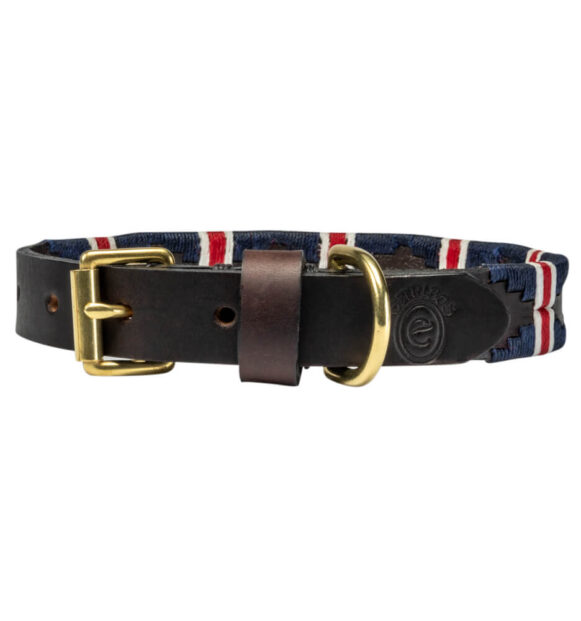 British Team polo dog collar | Argentinian Gaucho Collar | Brass