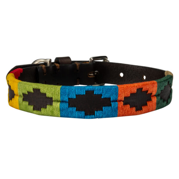Blue polo dog collar