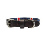 British Team polo dog collar