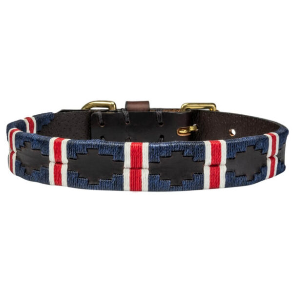 British Team polo dog collar