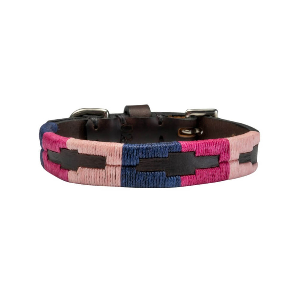 Tiny Polo Dog Collar - Gaucho Belt - Vegetable tanned Leather - Nickel