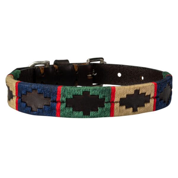 Blue polo dog collar