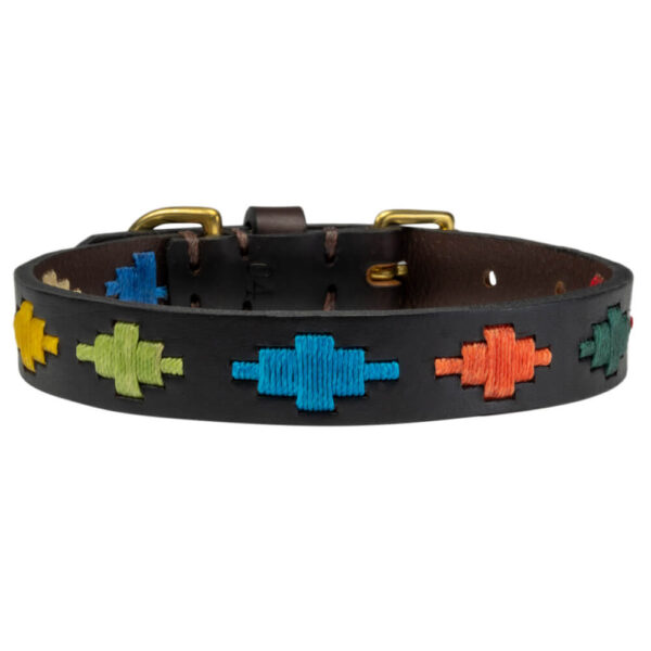 Rainbow polo dog collar