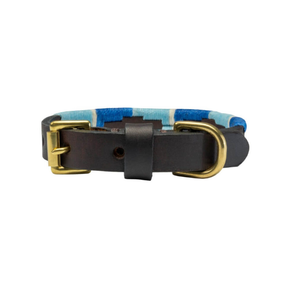 Blue polo dog collar