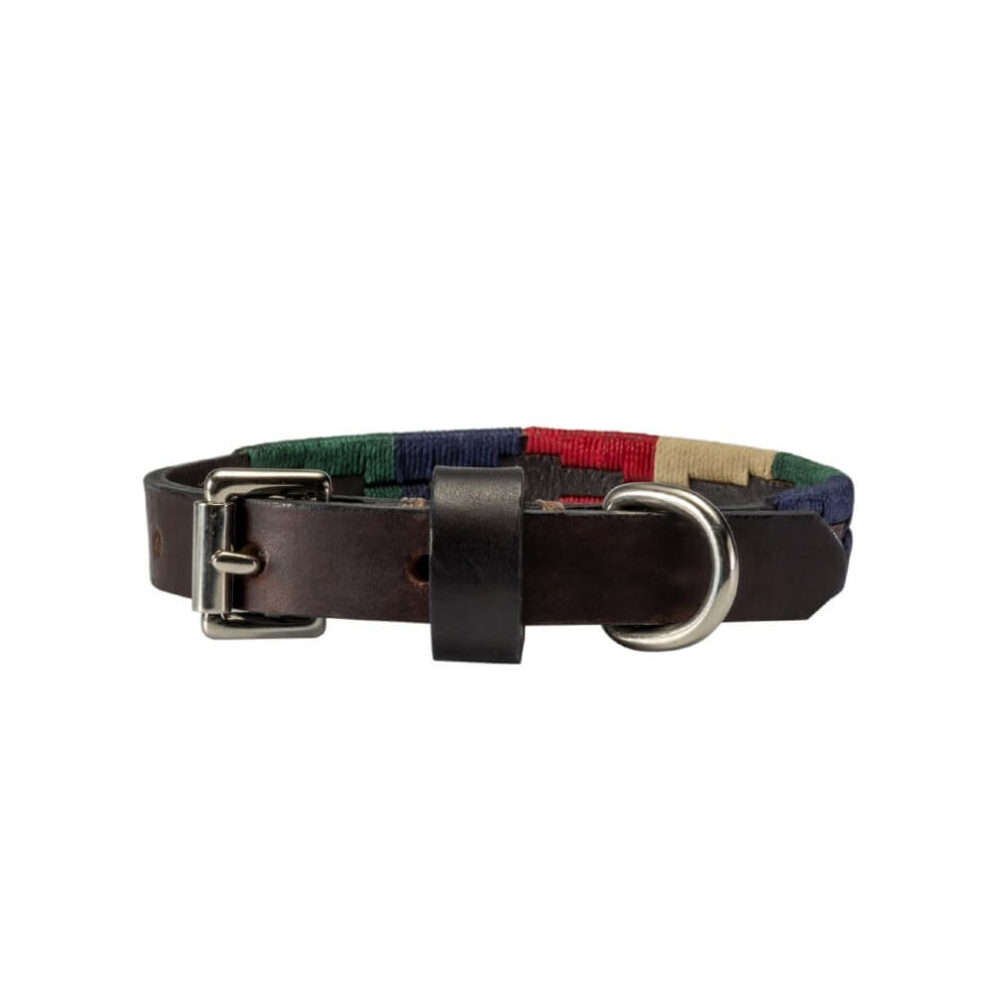 Tiny Polo Dog Collar - Gaucho Belt - Vegetable tanned Leather - Nickel
