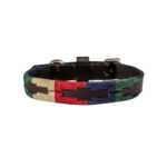 Tiny Polo Dog Collar - Gaucho Belt - Vegetable tanned Leather - Nickel