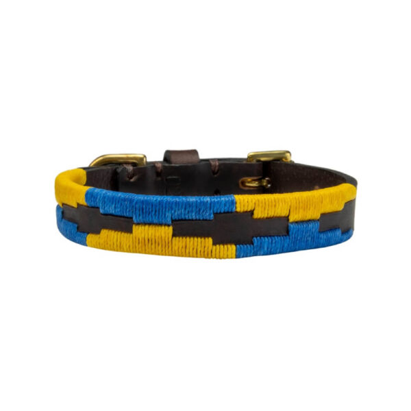 Matthew Hobden Trust Polo Dog CollarLead