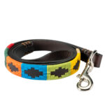 Rainbow Polo Dog Lead - Gaucho Belt - Vegetable tanned Leather - Nickel