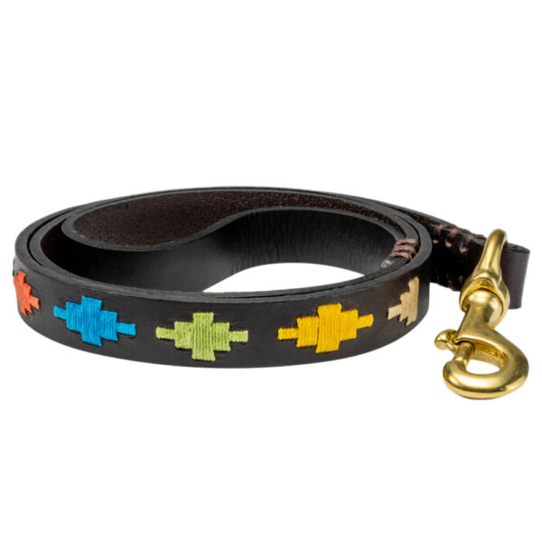 Rainbow Inca Polo Dog Lead - Vegetable tanned stirrup leather - Brass