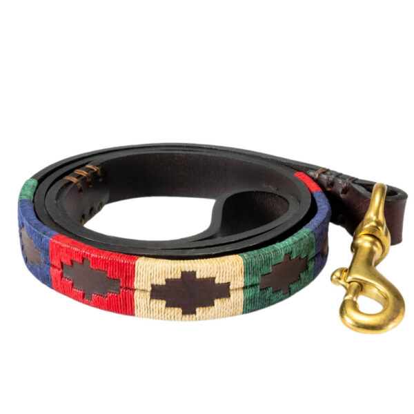 Traditional Polo Dog Lead - Gaucho Belt - Vegetable tanned Leather - Brass