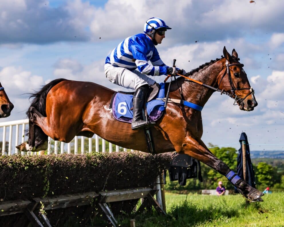 Kimblewick Races